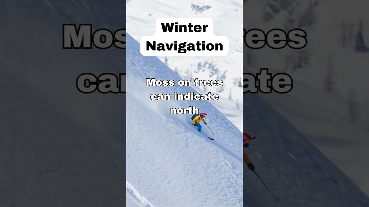 Navigating the Frost: Mastering Winter Navigation in Snowy Terrains! 🧭❄️ 