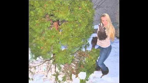 Animal - Elizabeth Ahern & Natalie Pierce 3rd Hour