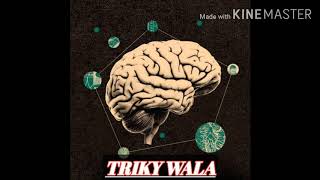 Answer This Reddels A Genius From Triky Wala Please Subscribe My Channel