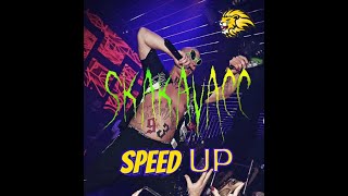 DESINGERICA - SKAKAVACC (SPEED UP)