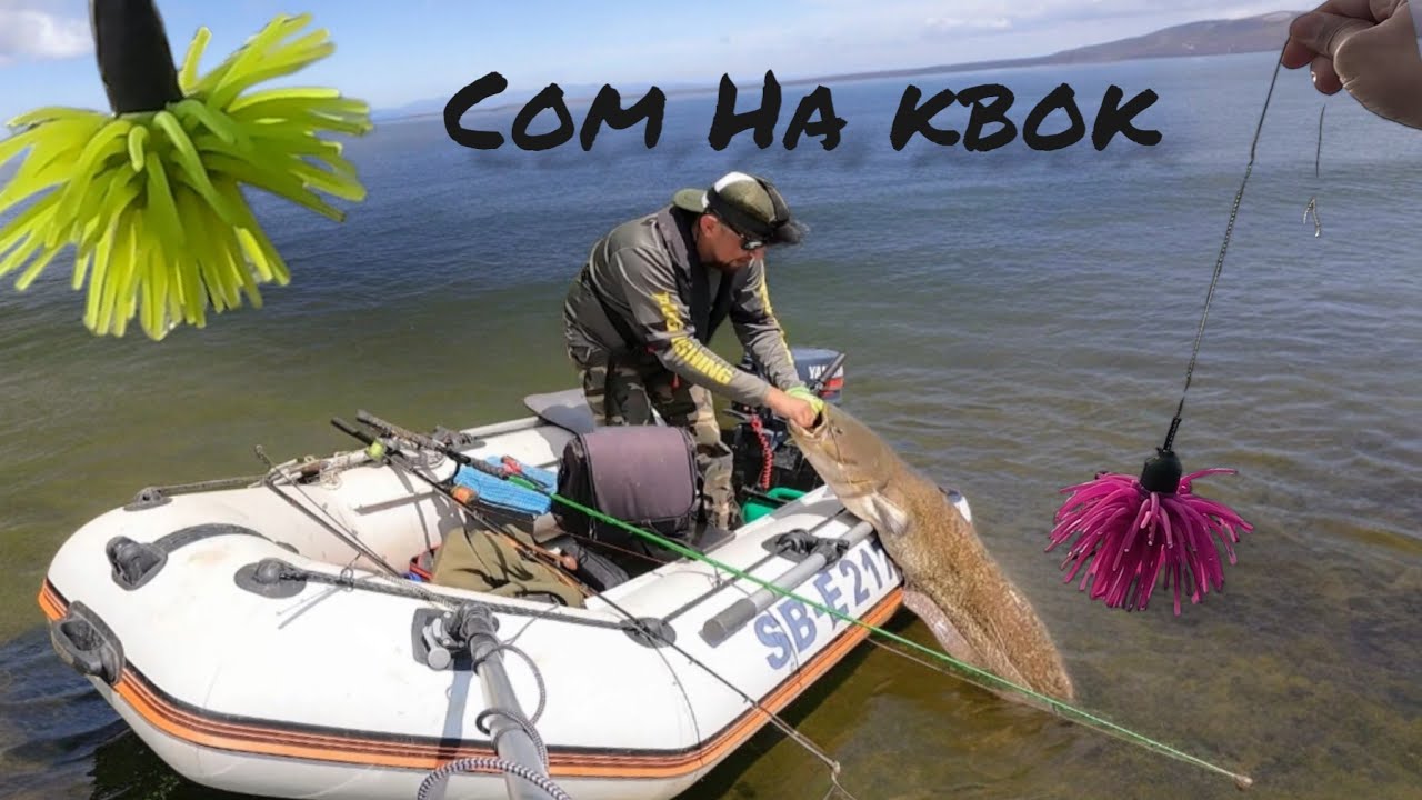 Рыбалка НА СОМА. Июнь, Квок, Замануха, вонючие Кальмары.