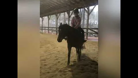 Sugarfoot