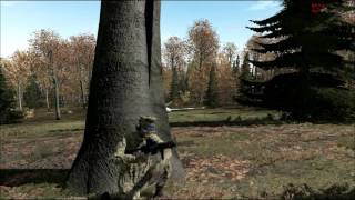 Arma 2 testing script