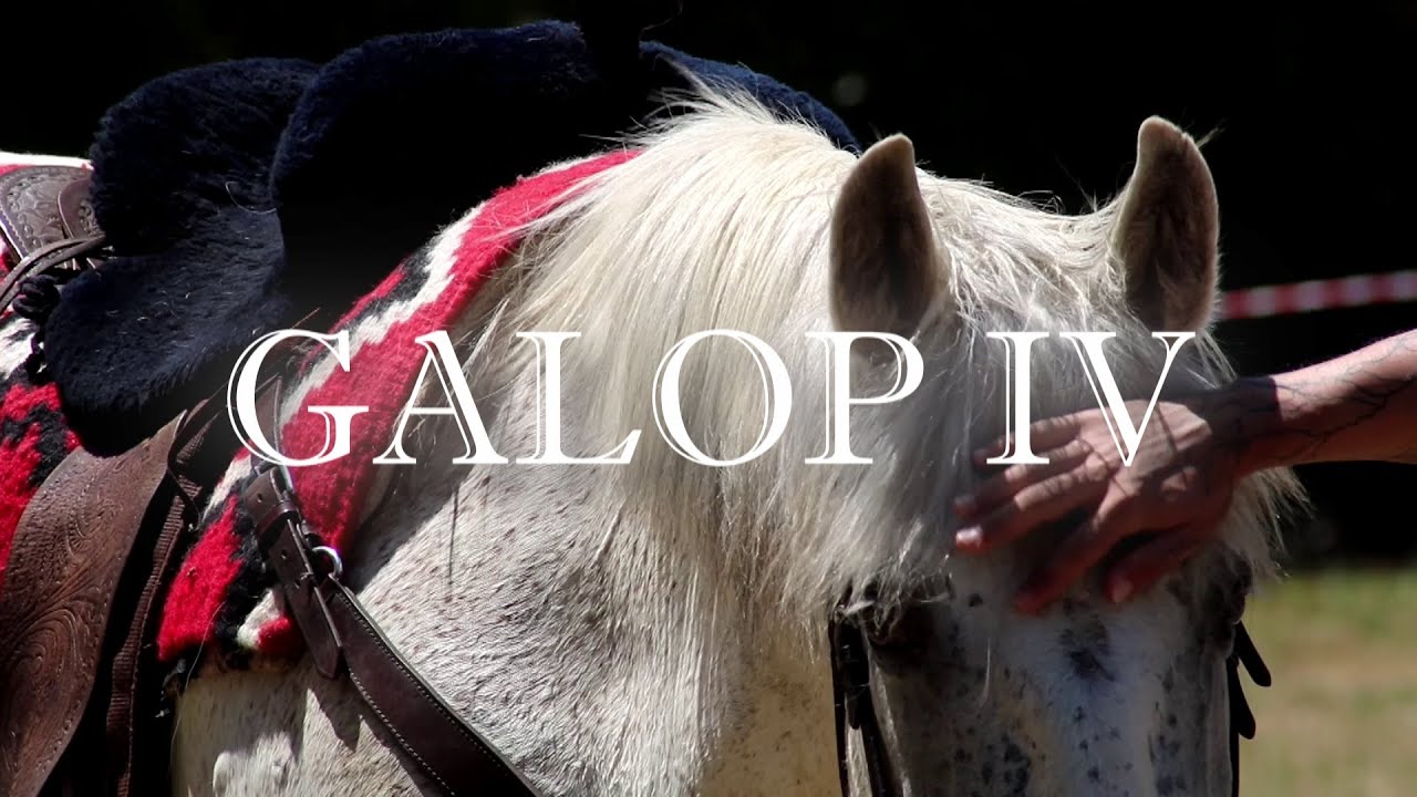 Paco & Nico feat Otolep - GALOP IV (CLIP OFFICIEL)