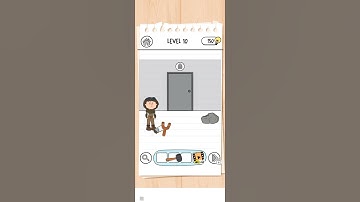 brain test 3 level 10.