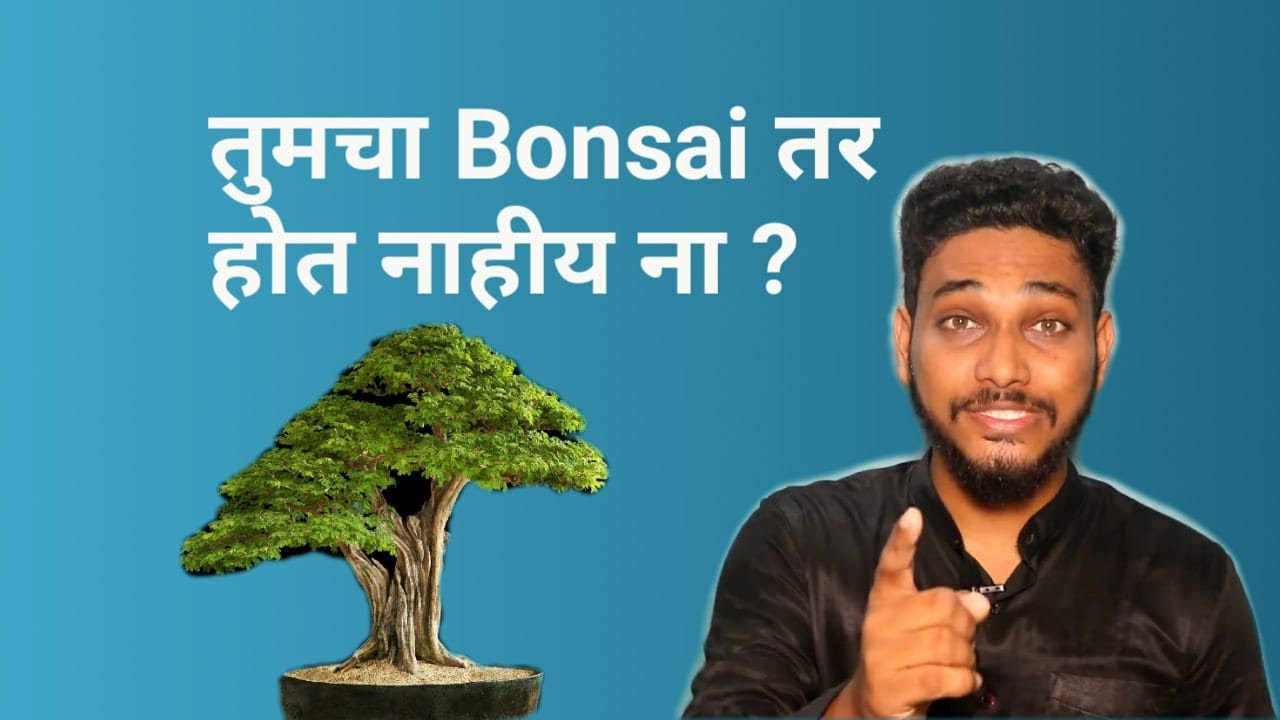तुमचा बोनसाय तर होत नाहीय ना? Bonsai Siddhesh Gawade Life Coach