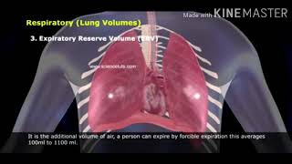 A Video On Vital Capacity By Riya Das
