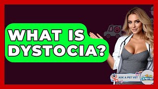 What Is Dystocia? - Ask A Pet Vet