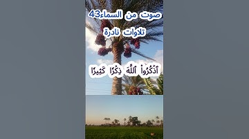 صوت من السماء 43 # تلاوة نادرة #قرآن #قران_كريم #قران #قرآن_كريم #اكسبلور #الشيخ مبارك  #الشيخ