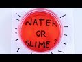 Slime ou de leau combien pouvezvous deviner  slime challenge  impossible 