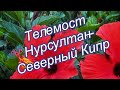 Как во время перемен и перестройки всего найти свою тихую гавань. Телемост Нурсултан - Сев. Кипр.Ч2