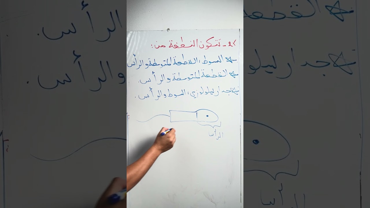 تقويم تشخيصي25 للسنة الرابعة متوسطة علوم طبيعية #زادت_تقويم_تشخيصي_الرابعة_متوسطة