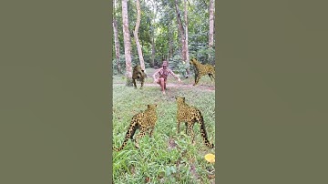 deep forest leopard attack a boy 🐆🐅🐆#vfx