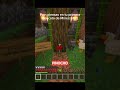 Pov: te acuerdas de tu primera mascota en minecraft 🐺💔 #minecraft #humor #minecraftmemes