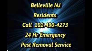 24 Hr Emergency Pest Control Belleville NJ Call (862) 701-2076