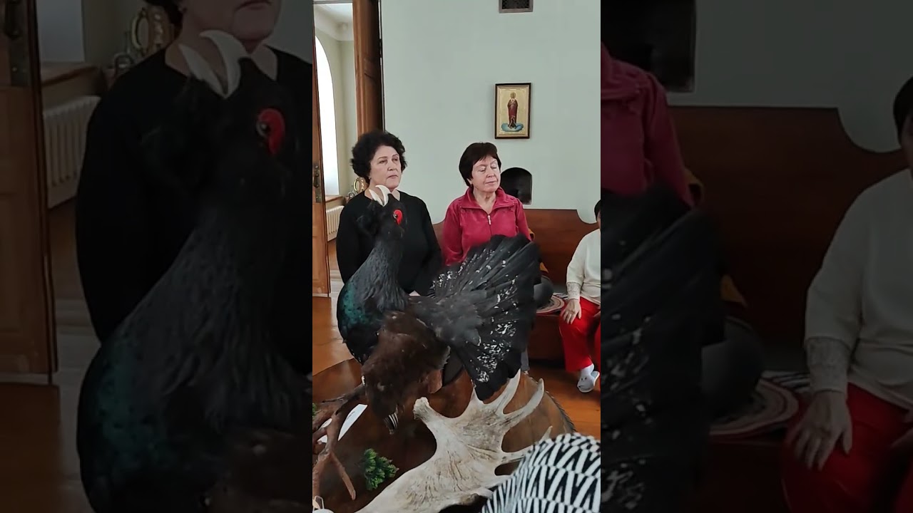 Въ усадьбѣ Хвалёвское — объ основателѣ усадьбы Н.А. Качаловѣ — экскурсія въ д. Борисово-Судское