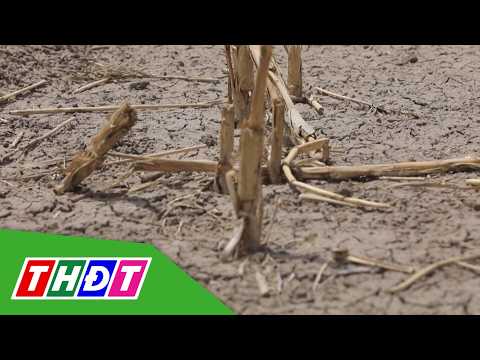 Chu trình nước toàn cầu ngày càng thất thường | THDT