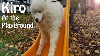 Kiro at the Playground