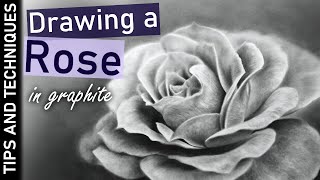 How to draw a rose in graphite | Key techniques for drawing realism screenshot 4