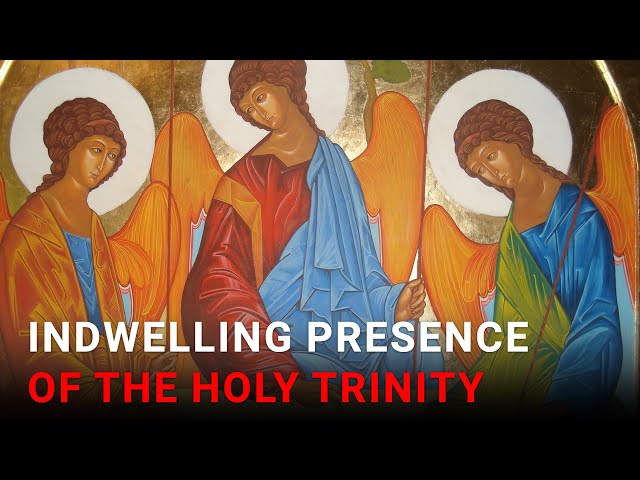 Daily IVE Homilies, April 29 2024 - Indwelling Presence of the Holy Trinity