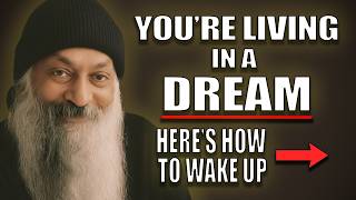 You're Living in a Dream Right Now (And Here's How to Wake Up)