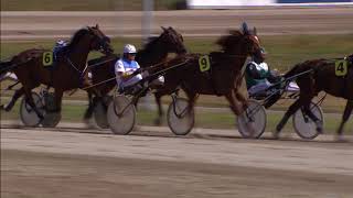 Vidéo de la course PMU PRIX HARRIE VAN DEN BOSCH