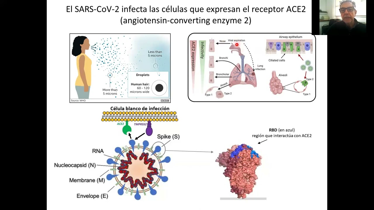 Inmunología I- Clase 14:  Respuesta contra virus y tumores