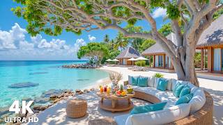 Fresh Summer Seaside Ambience - Smooth Piano Background Music & Waves Sounds for Read, Study & Focus screenshot 5
