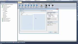 17 - Form Editor screenshot 5