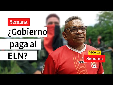 ¿Pagos por parte del Gobierno Petro al ELN? David Luna muestra preocupación | SEMANA