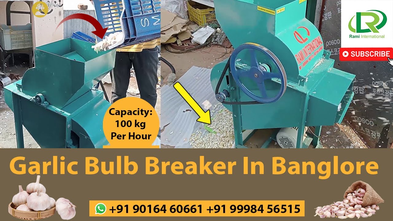 Garlic Bulb Breaker Machine In Bangalore Karnataka | Garlic Bulb Cutter Machine In Karnataka | RAMI