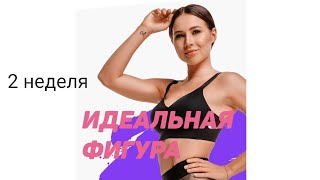 МАРАФОН ТЕЛА LERCHEK 2 НЕДЕЛЯ/ ЗАМЕРЫ И ПРОМЕЖУТОЧНЫЕ РЕЗУЛЬТАТЫ