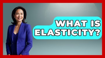 What Is Elasticity? - Learn About Economics