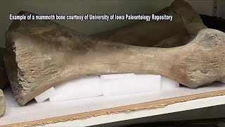 Mammoth remains spark intrigue at Muscatine County farmland auction