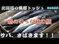 【真サバさばき方】秋冬のサバ、さばきます！