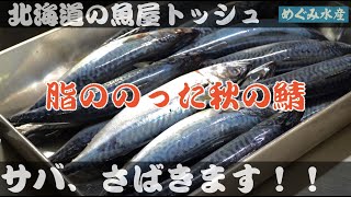 【真サバさばき方】秋冬のサバ、さばきます！