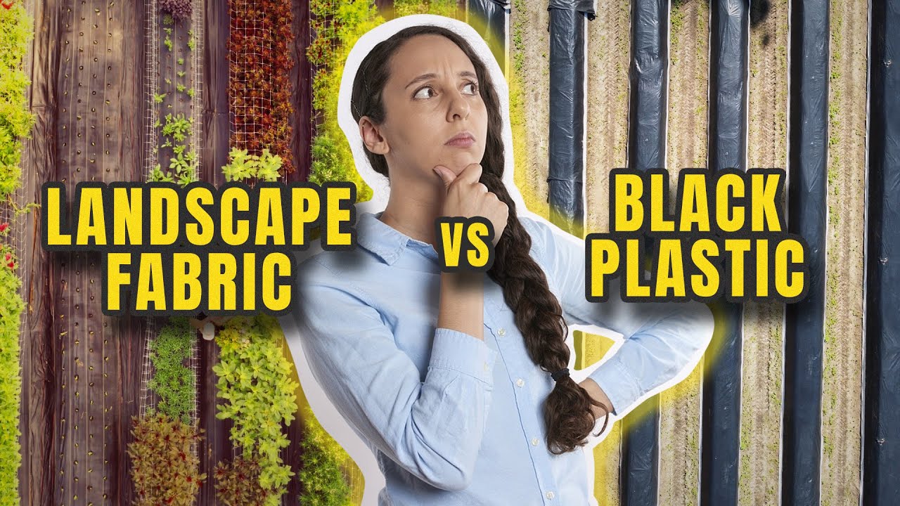 Landscape Fabric or Black Plastic: What Works Best for Your Garden