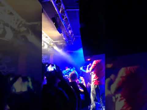 paraziții - o zi ca oricare alta (concert)