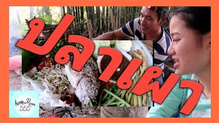 ມາກິນປາເຜົາກັບບ່າວບົວໄລ มากินปลาเผาที่ไรนา#บัวไล