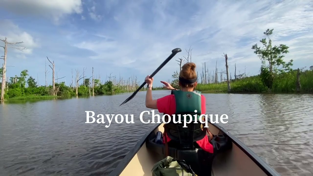A Sunday Paddle Along Bayou Choupique In Carlyss, Louisiana YouTube