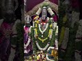 #bhakti #venkateswaraswamy #tirupati #venkatprabhu #tirumala #telugubhakti #bangalore #tdp #trending