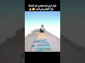 حكاية الطيار الغبي الذي استغني عن أجنحة الطائرة   