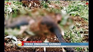 Penebang Kayu Hutan Industri Riau Tewas Diterkam Harimau - BIP 27/05