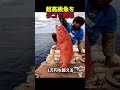 タコで高級魚を釣る