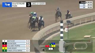 Famous Gulfstream Park December 21, 2025 Race 3 Profile