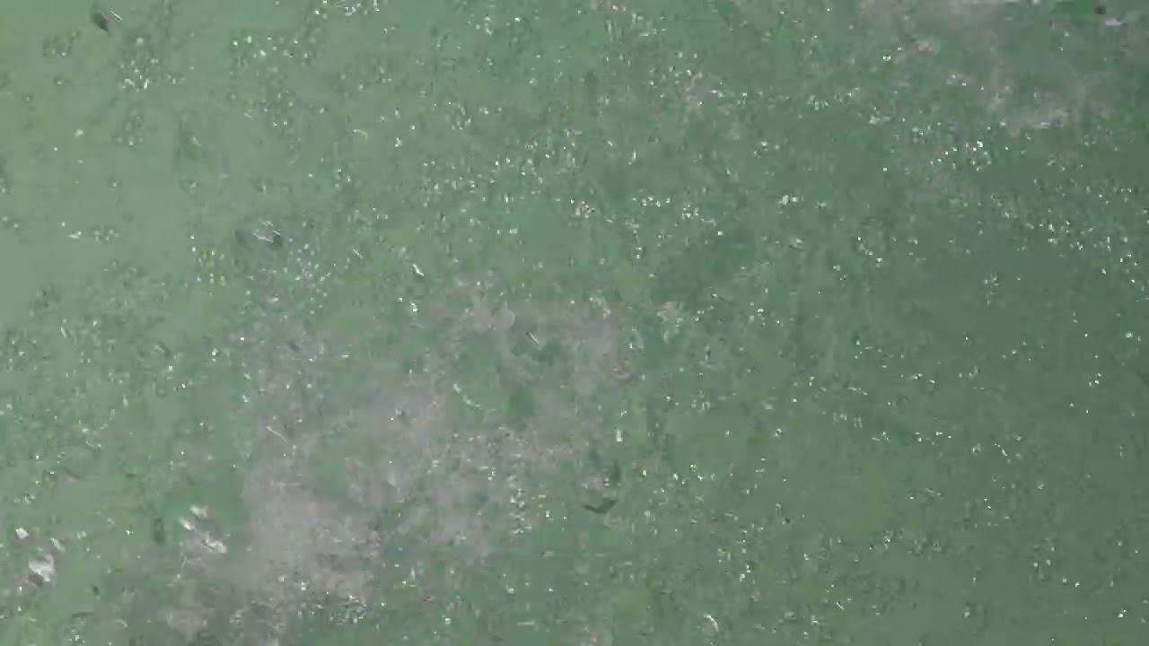 Water Pool Sound Effect