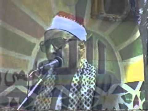 الضحى الشيخ على ربيع Wmv 