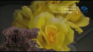 Infinity TS-160 Robusto Test Video SLAM Pantalla Films