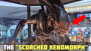 New Xenomorph in ALIEN ROMULUS Officially Named