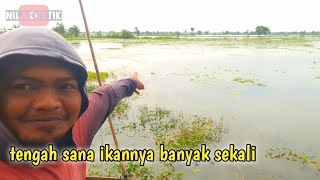 SPOT GANGGANG SARANG IKAN